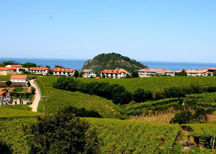 Usotegi Country house *